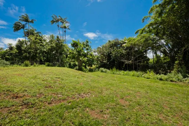 a big yard with lots of bushes