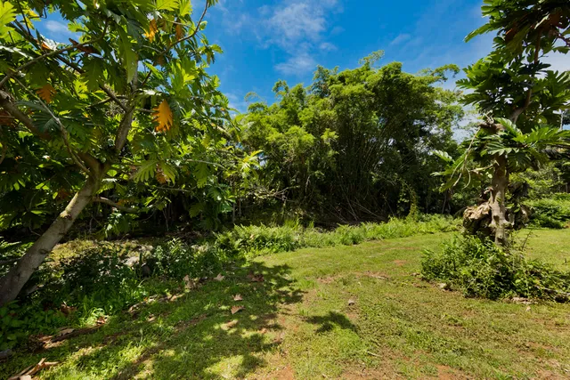a view of a yard with a house