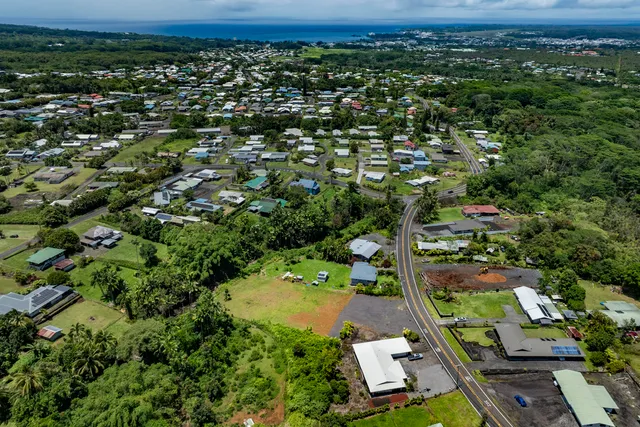 an aerial view of residential houses with outdoor space and trees