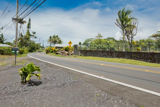 a view of a yard with a plant