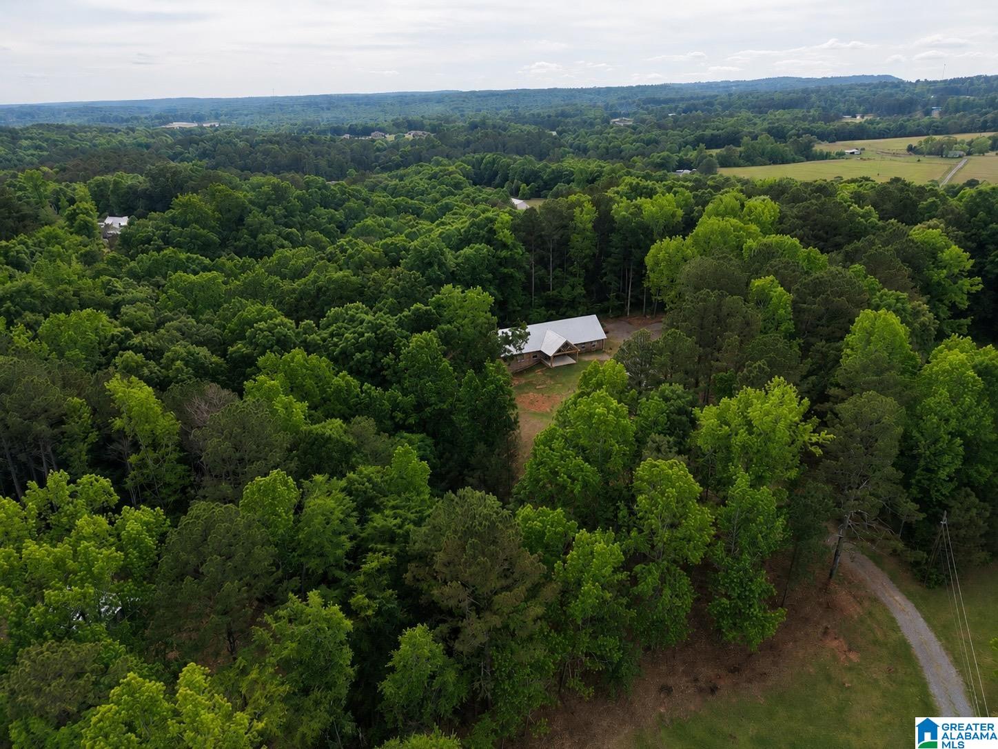61 Robbins Road Warrior, AL 35180 - Photo 9 of 56