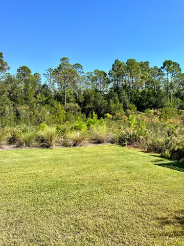 a view of a big yard with lots of green space