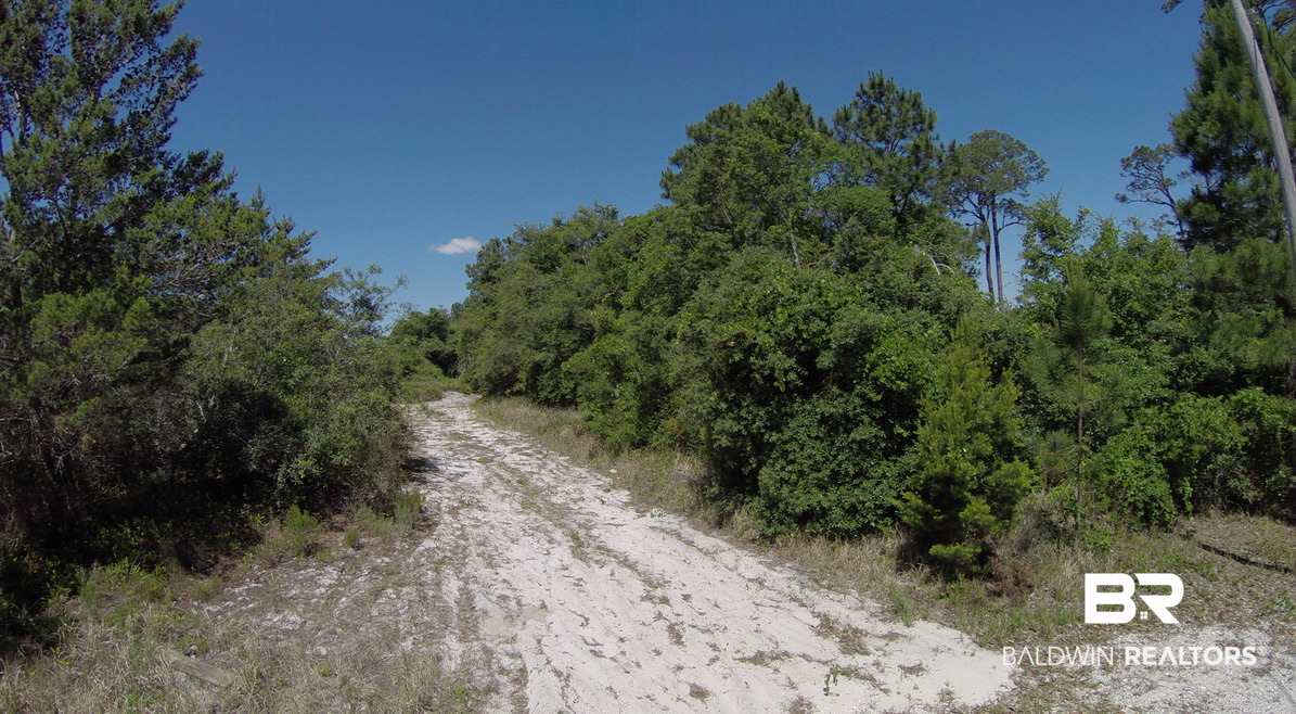9543 Ft Morgan Road Gulf Shores, AL 36542 - Photo 9 of 28