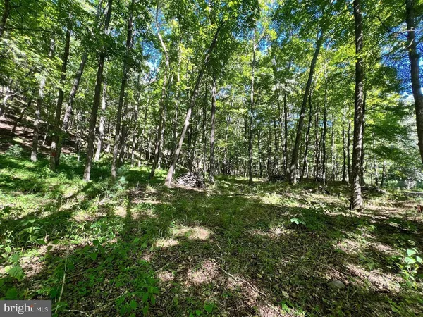 $39,900 | Lot 4-section High Knob Road, Old Fields, WV 26845