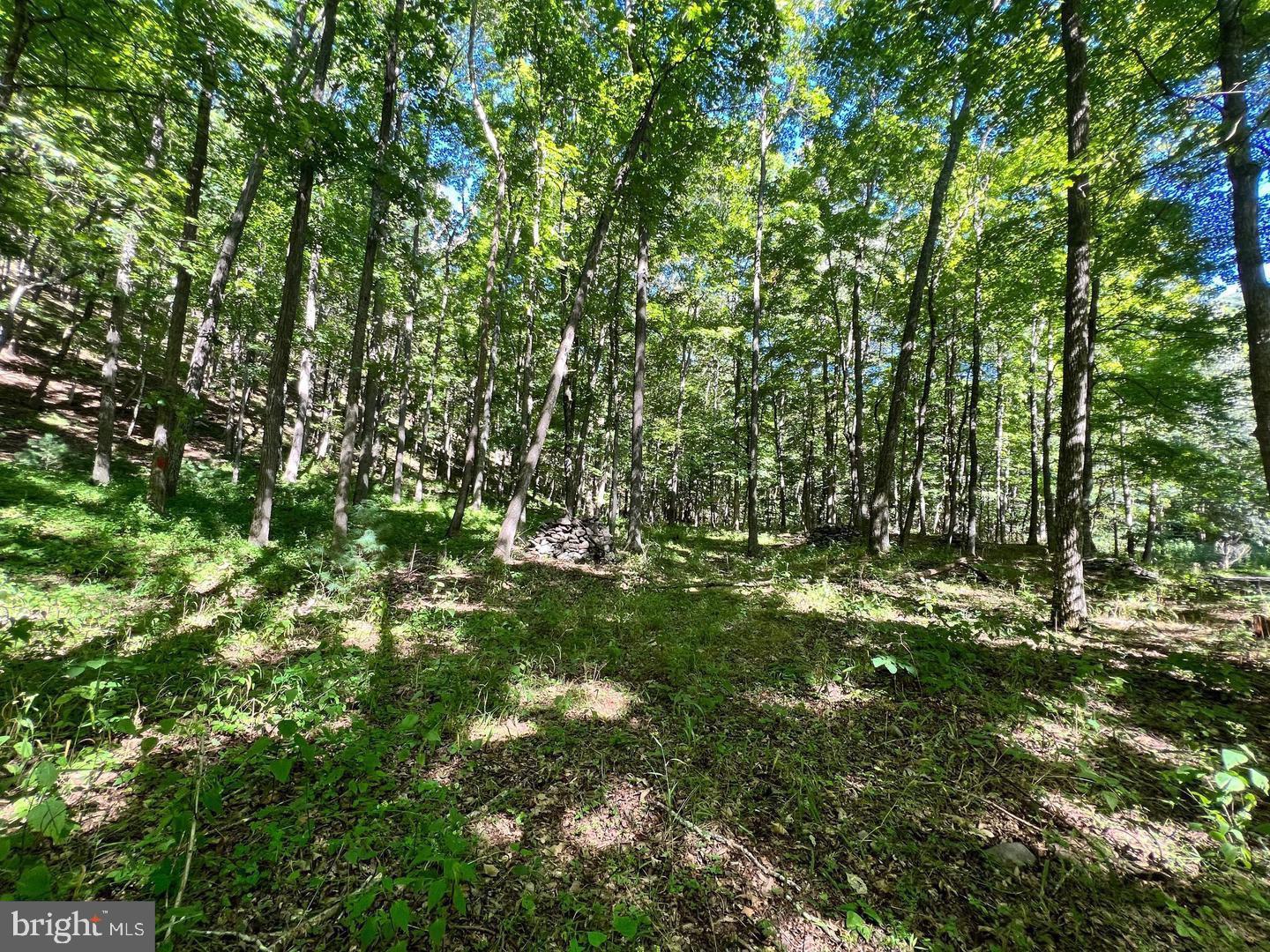 Lot 4-section High Knob Road Old Fields, WV 26845 - Photo 1 of 4