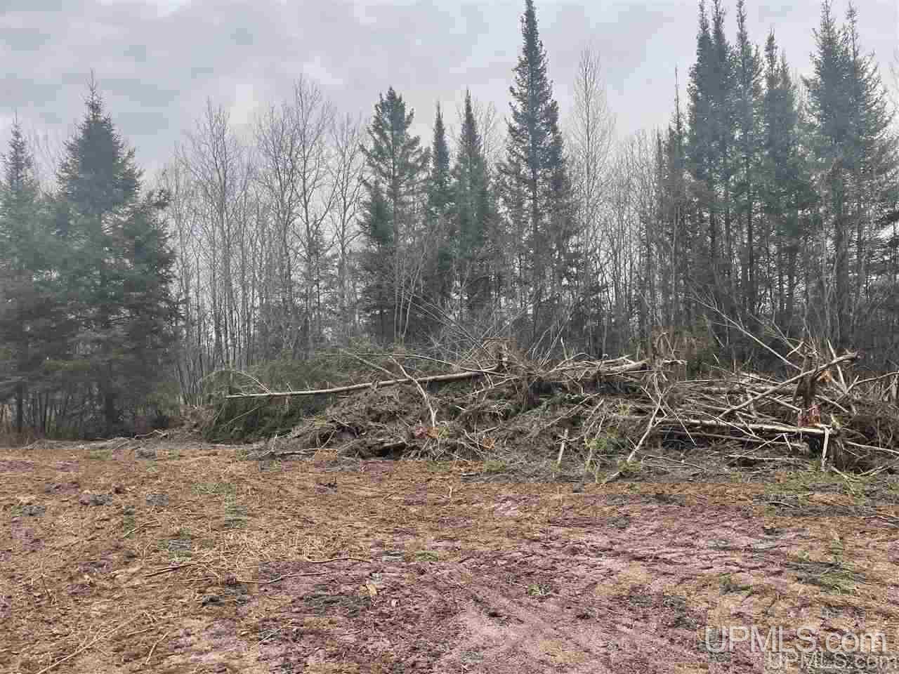Tbd St Nicholas Road Rock, MI 49880 - Photo 18 of 22