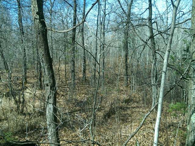 On Branch Road Tomahawk, WI 54487 - Photo 2 of 3 Gallery Image 2