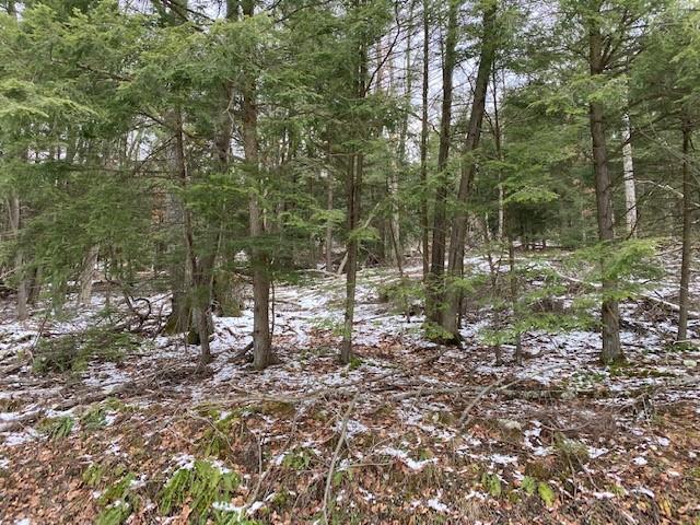 . Wassum Road Sligo, PA 16255 - Photo 1 of 1 Main View