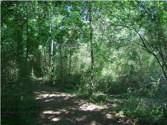 2 Brush Creek Road Dunlap, TN 37327 - Photo 1 of 4 Primary Photo