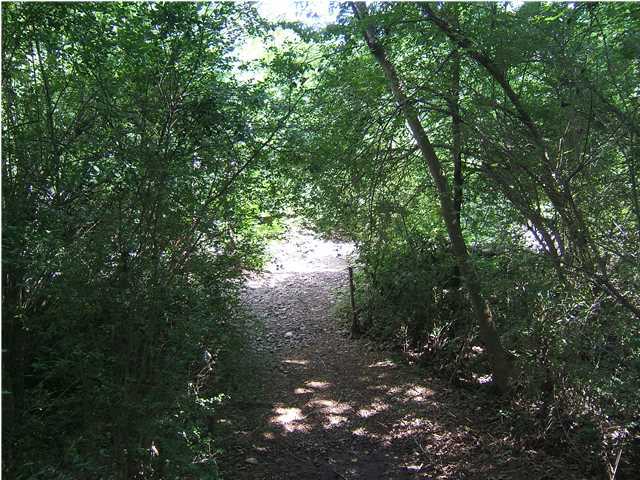 2 Brush Creek Road Dunlap, TN 37327 - Photo 3 of 4 Additional Photo