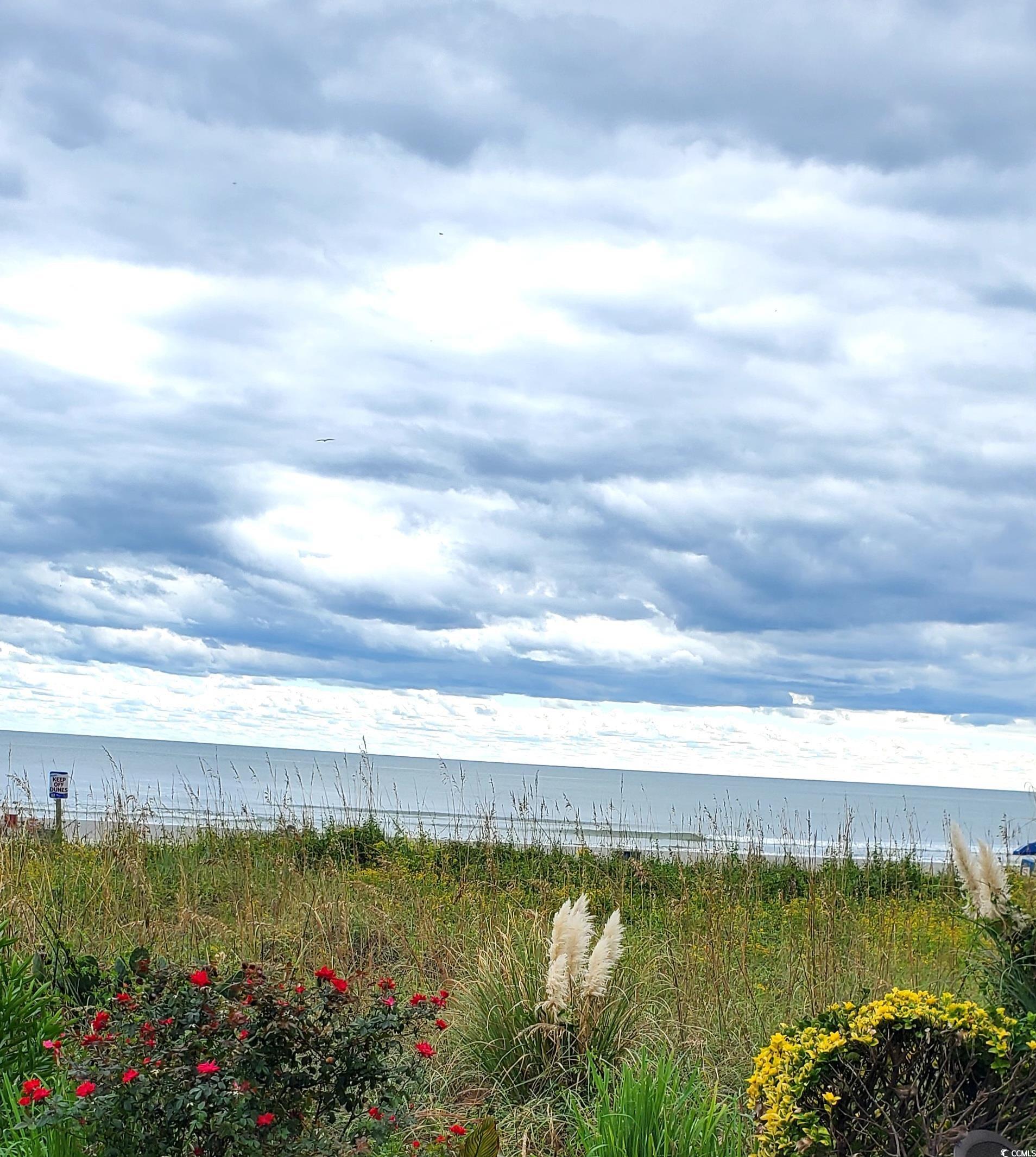 1359 Littleleaf Loop North Myrtle Beach, SC 29582 - Photo 30 of 32