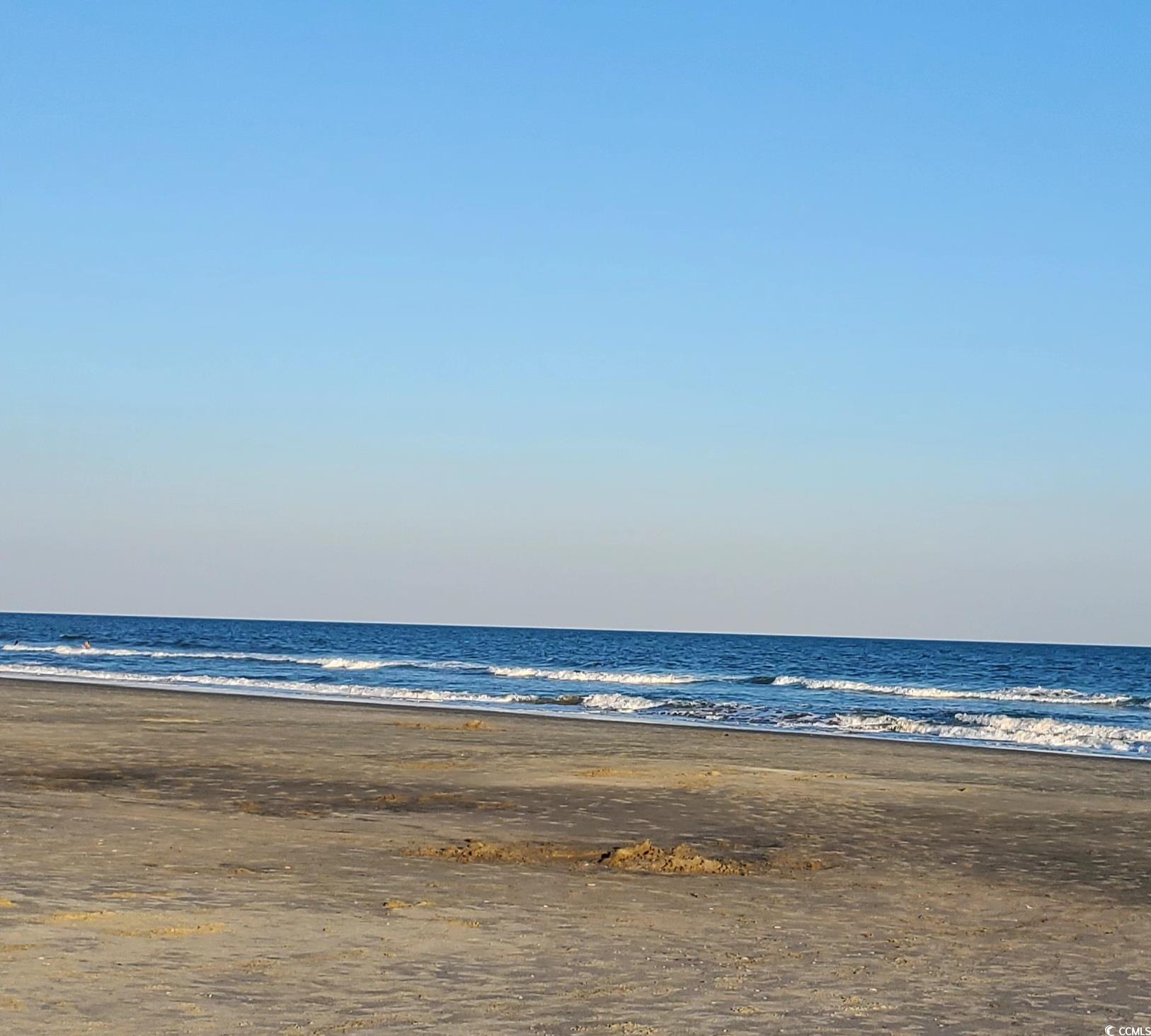 1359 Littleleaf Loop North Myrtle Beach, SC 29582 - Photo 31 of 32