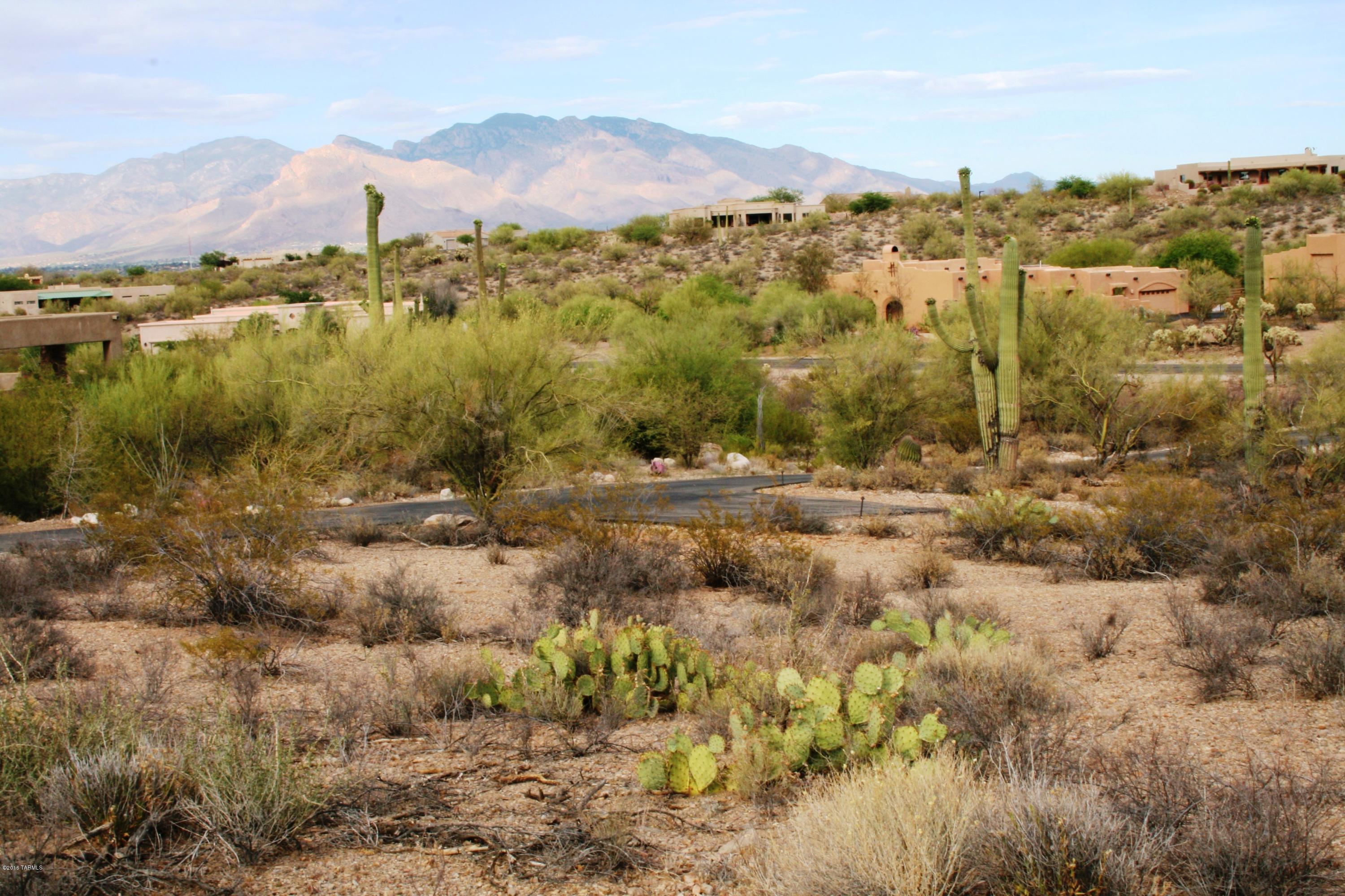 6075 North Abington Road, Unit LOT 4 Tucson, AZ 85743 - Photo 25 of 31
