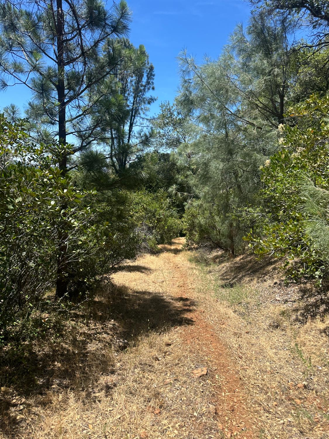 0 Bowman Road Pine Grove, CA 95665 - Photo 8 of 30
