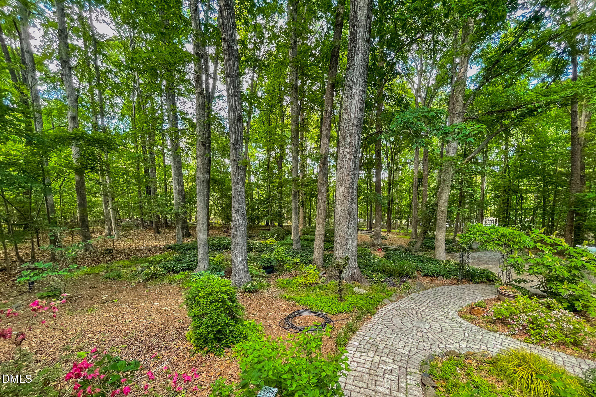 11911 North Roxboro Street Rougemont, NC 27572 - Photo 40 of 68 39