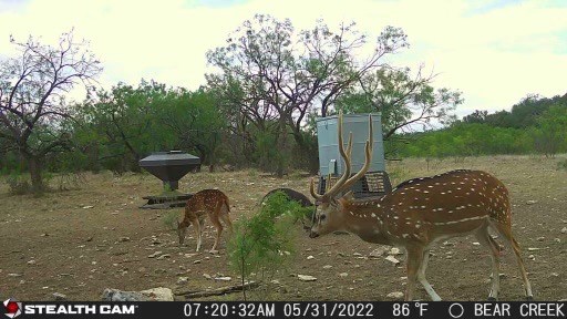 0 Kc 210 Junction, TX 76849 - Photo 11 of 12