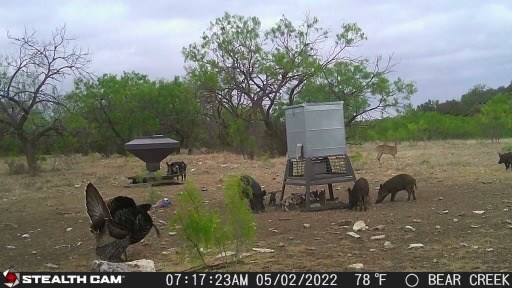 0 Kc 210 Junction, TX 76849 - Photo 12 of 12