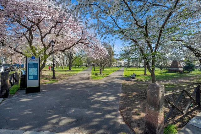 a view of road with tree