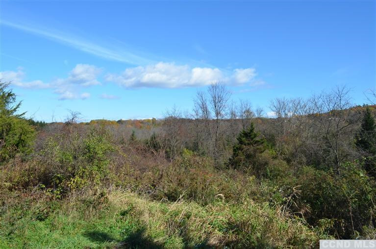 0 Vosburgh Road Red Hook, NY 12571 - Photo 2 of 4 a view of mountains and valleys