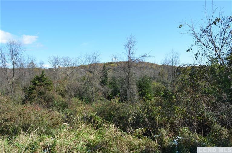 0 Vosburgh Road Red Hook, NY 12571 - Photo 3 of 4 a view of a dry yard