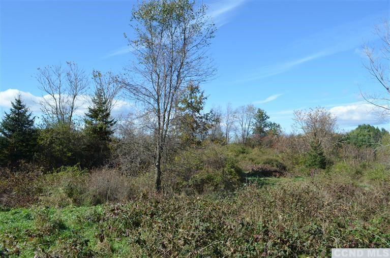 0 Vosburgh Road Red Hook, NY 12571 - Photo 4 of 4 a view of a trees in a field