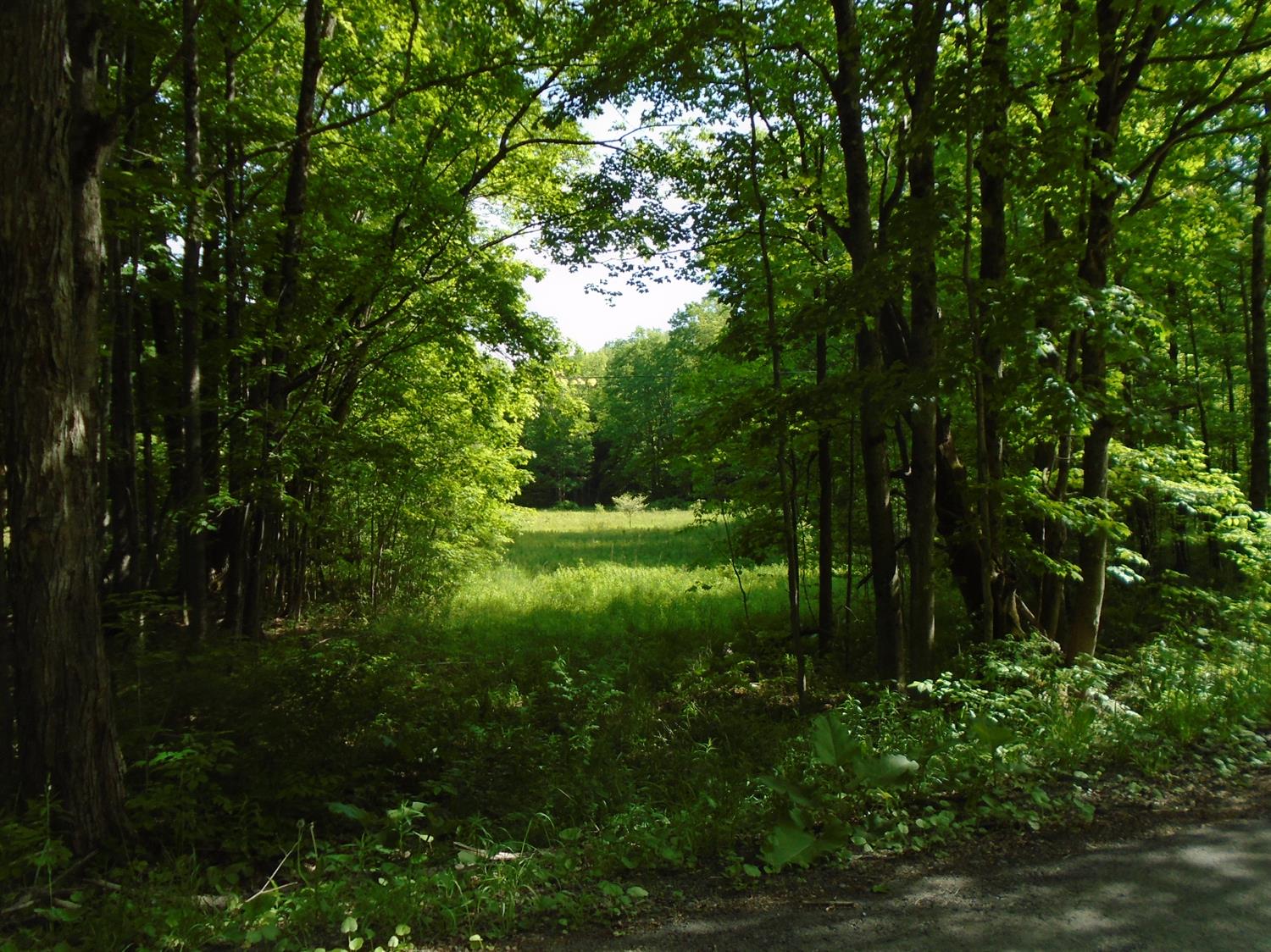 0 South Road Norwich, NY 13815 - Photo 1 of 1 Gallery Image 1