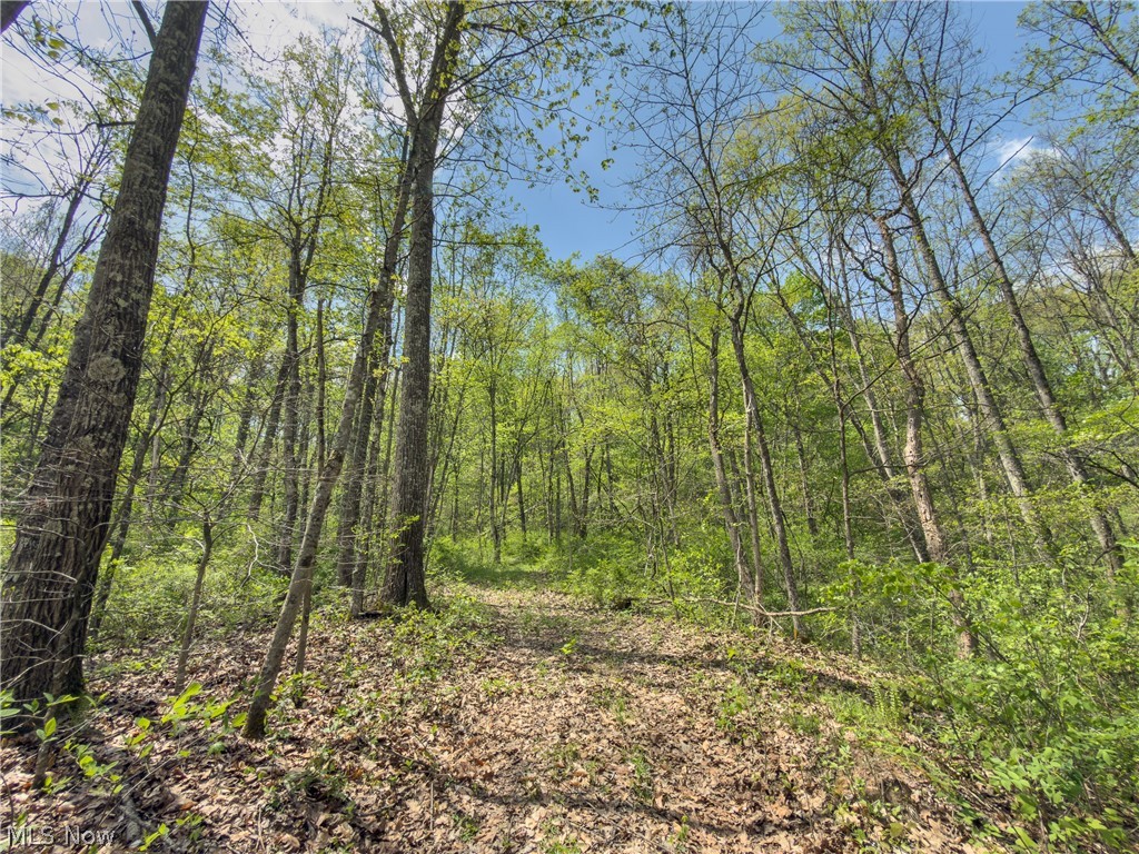 Beardmore Road Wingett Run, OH 45789 - Photo 35 of 43