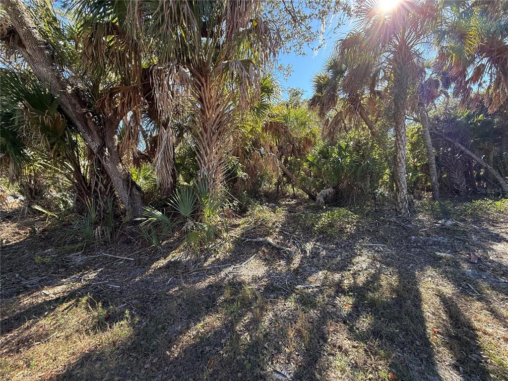 163 Statler Street Port Charlotte, FL 33954 - Photo 9 of 13