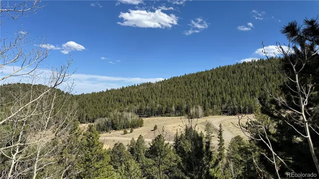 $450,000 | 5 Church Placer Road, Central City, CO 80427