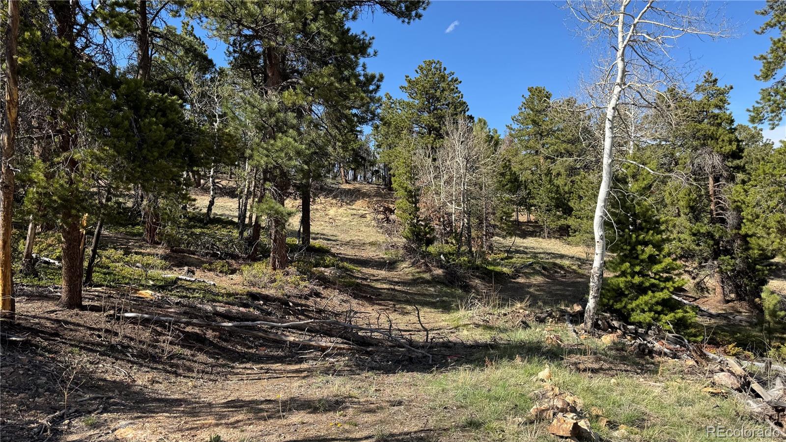 5 Church Placer Road Central City, CO 80427 - Photo 3 of 12 a view of outdoor space and yard