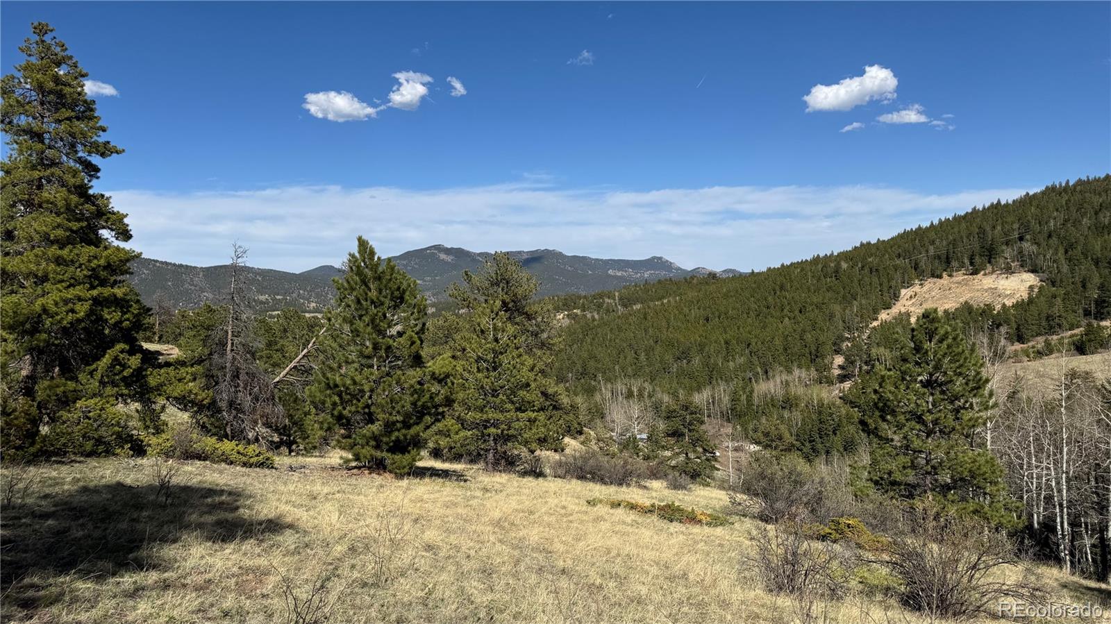 5 Church Placer Road Central City, CO 80427 - Photo 5 of 12