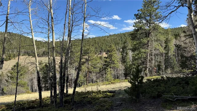 $450,000 | 5 Church Placer Road, Central City, CO 80427