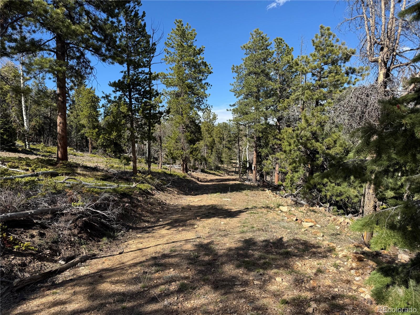 5 Church Placer Road Central City, CO 80427 - Photo 9 of 12 a view of a yard with plants and trees