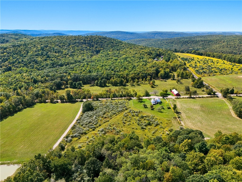 834 Dry Brook Road Waverly, NY 14892 - Photo 38 of 45