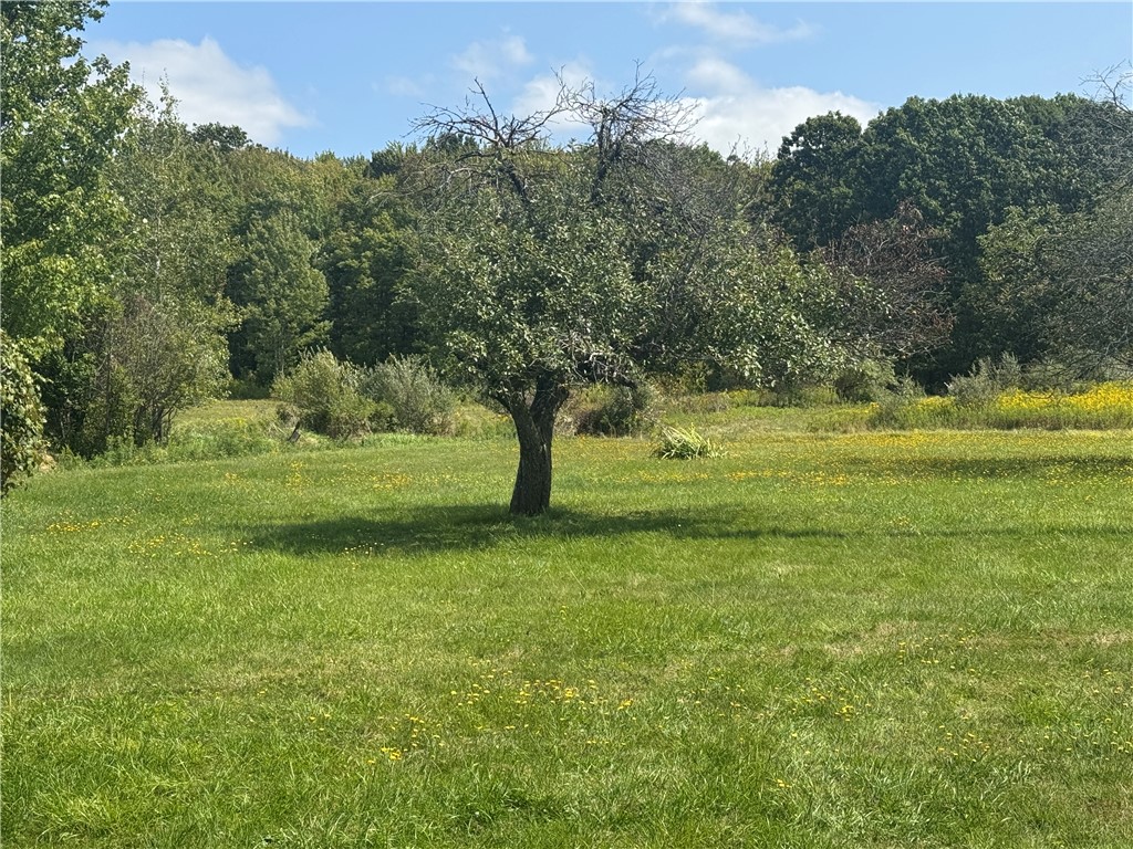 834 Dry Brook Road Waverly, NY 14892 - Photo 45 of 45