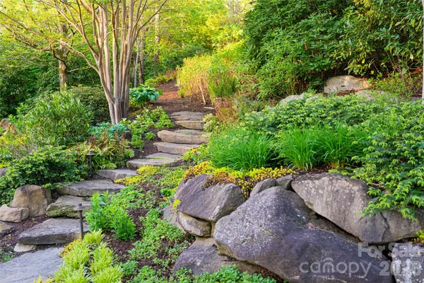 a view of a garden with plants