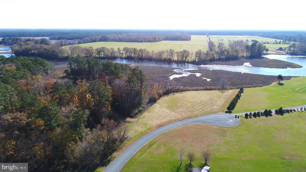 12485 Mallard Landing Road Princess Anne, MD 21853 - Photo 11 of 13 a view of a swimming pool with an outdoor seating