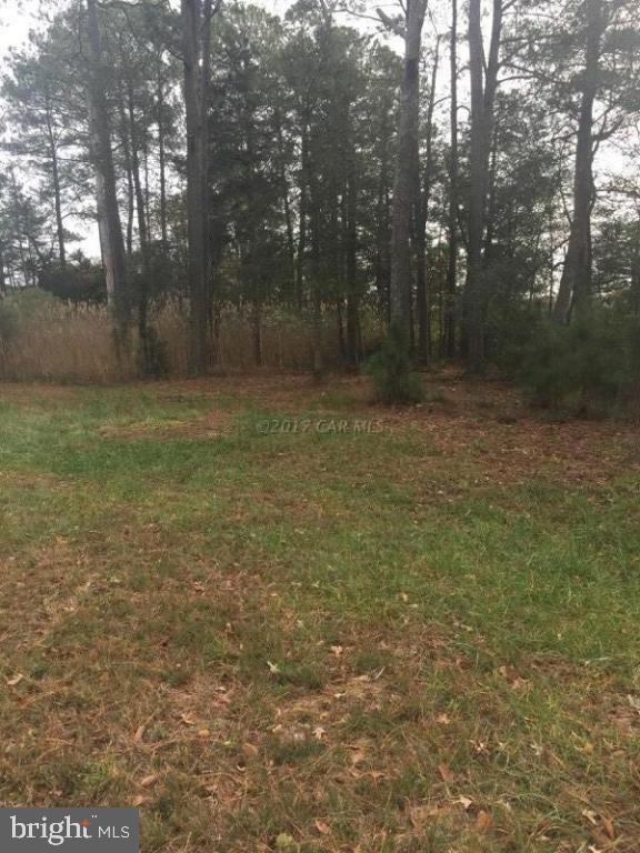 12485 Mallard Landing Road Princess Anne, MD 21853 - Photo 12 of 13 a view of a yard