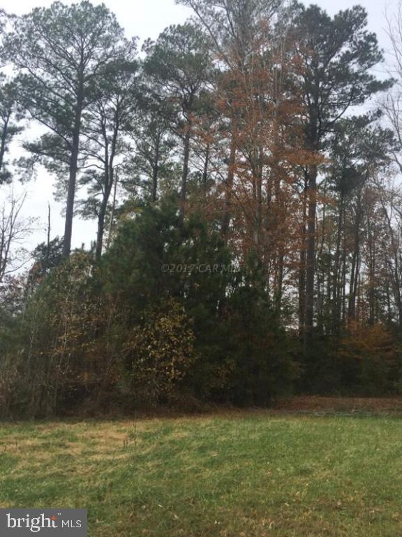 12485 Mallard Landing Road Princess Anne, MD 21853 - Photo 13 of 13 a view of a lake