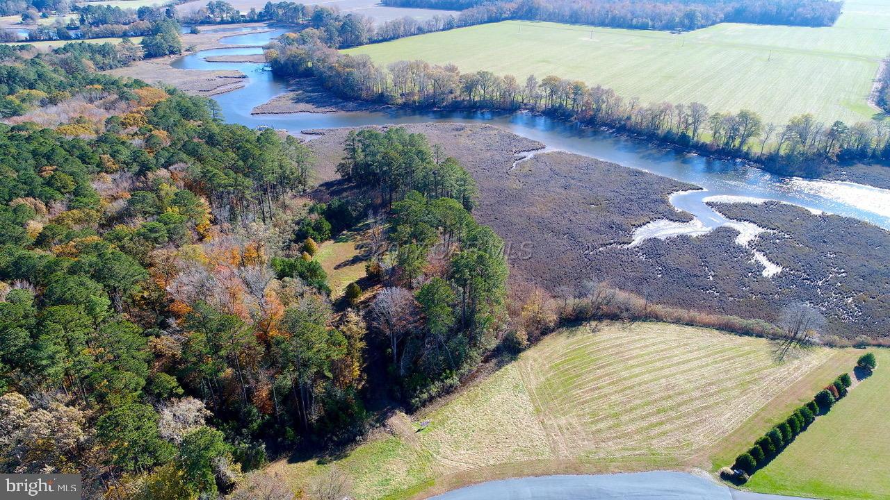 12485 Mallard Landing Road Princess Anne, MD 21853 - Photo 2 of 13 a view of a backyard