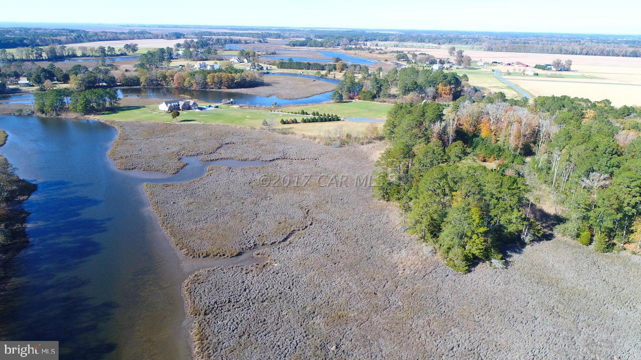 12485 Mallard Landing Road Princess Anne, MD 21853 - Photo 3 of 13 an aerial view of residential houses with outdoor space and river