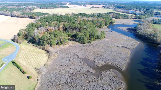 a view of a yard with an outdoor space