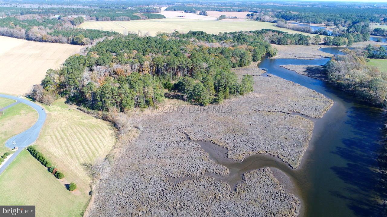 12485 Mallard Landing Road Princess Anne, MD 21853 - Photo 4 of 13 a view of a yard with an outdoor space