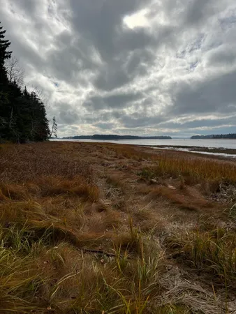 $85,000 | Lot 181 Rays Point Road, Milbridge, ME 04658