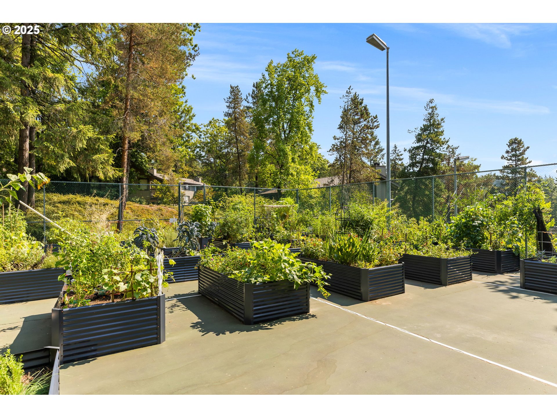 7734 Southwest Barnes Road, Unit A Portland, OR 97225 - Photo 35 of 37 Community Garden