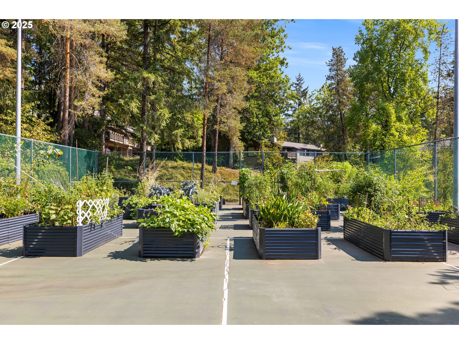 7734 Southwest Barnes Road, Unit A Portland, OR 97225 - Photo 36 of 37 Community Garden