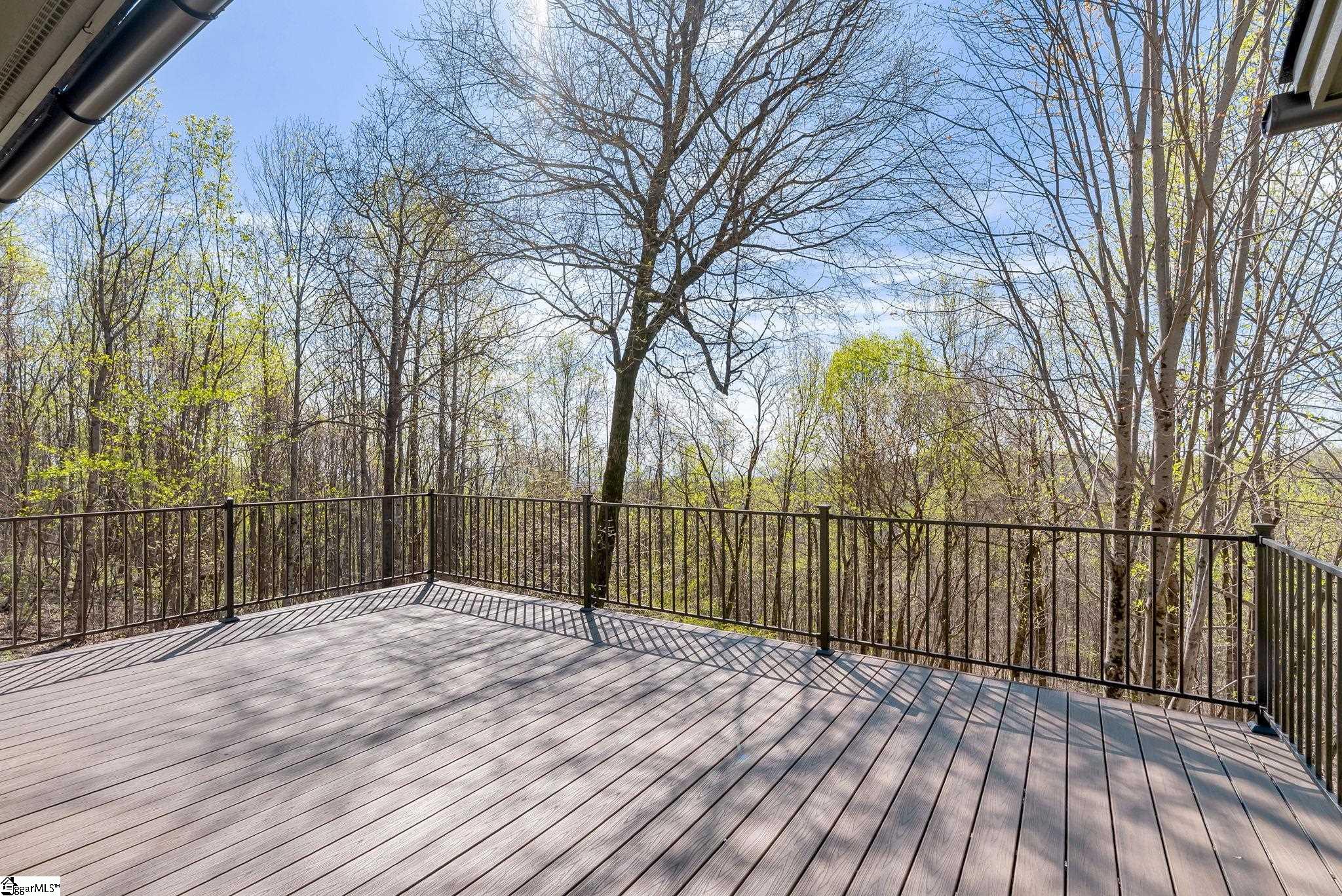 33 Witch Hazel Trail Landrum, SC 29356 - Photo 29 of 48