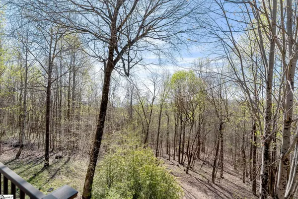 $1,389,000 | 33 Witch Hazel Trail, Landrum, SC 29356