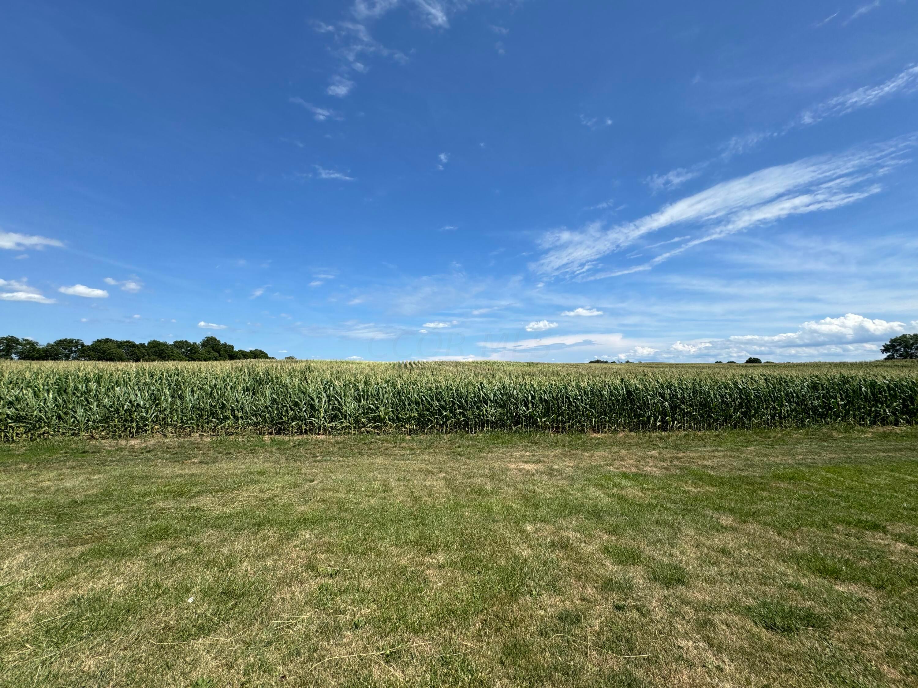 9580 Dozer Road Southwest Stoutsville, OH 43154 - Photo 42 of 44 Backyard View