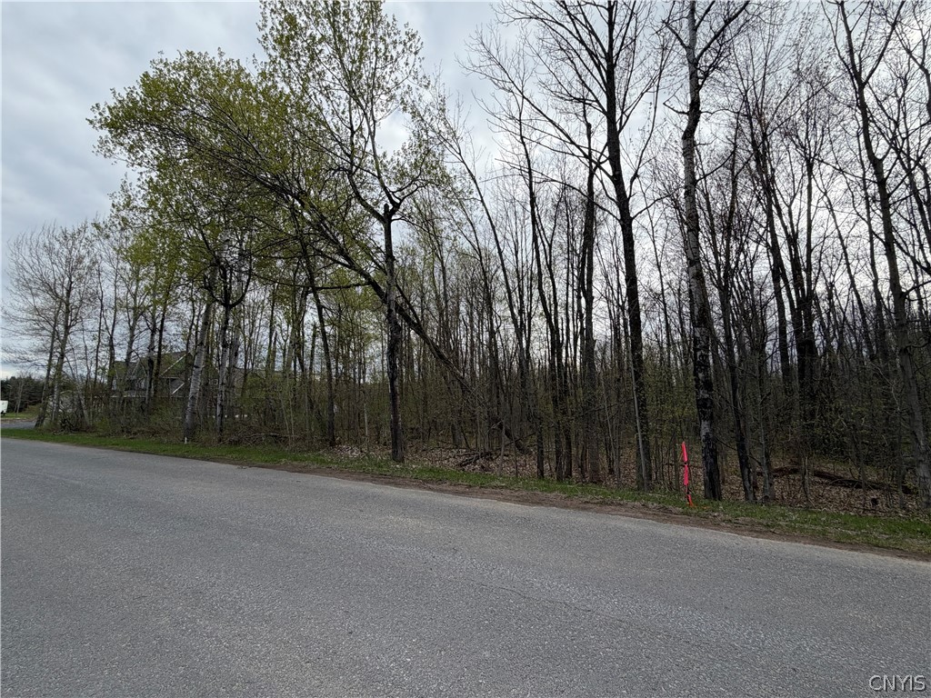 0 Farney Pit Road Carthage, NY 13619 - Photo 6 of 7